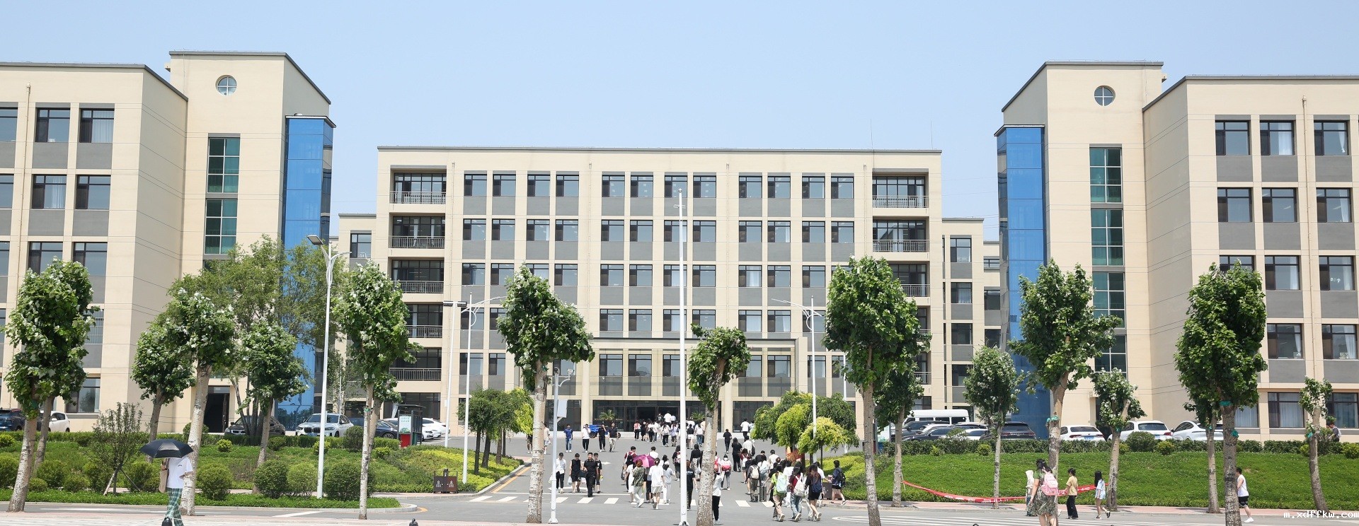 内页大图